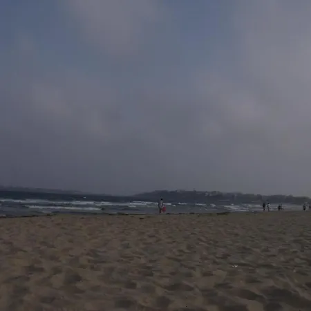 Sunny 2